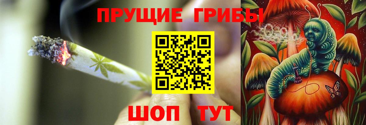 Псилоцибиновые грибы Magic Shrooms  Вход с VPN  Галлюциногенные грибы MAGIC MUSHROOMS  Кинешма 